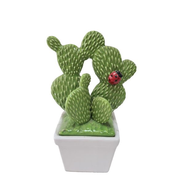 Kerámia kaktusz kaspóban katicás