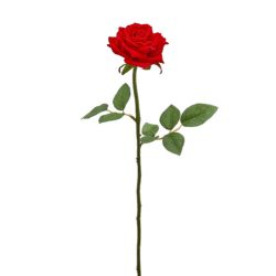 Rózsa bársony piros 58cm