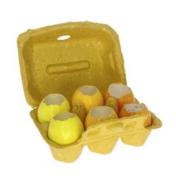 Tojástartó törött tojásokkal sárga
