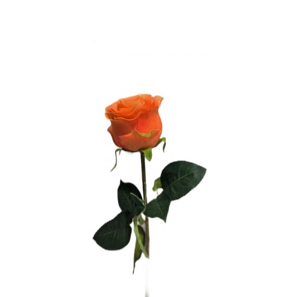 Selyem rózsa narancs,piros,sárga 78cm