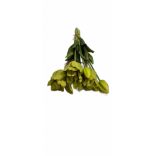 Tulipán csokor, gumi 5db 46cm több színben