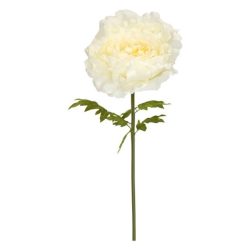 Selyemvirág óriás peonia L100cx26cm krém