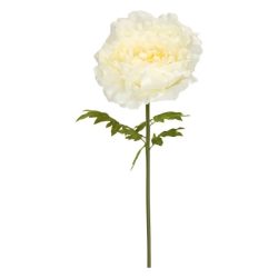 Selyemvirág óriás peonia XL 130cm krém