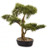 Bonsai fa cserépben műnövény 45x50x28cm